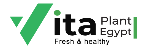 Vita Plant Egypt