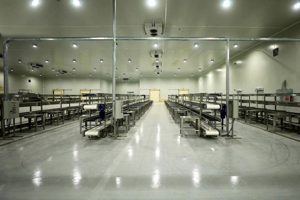 مرافق التعبئة والتغليف وسلسلة التبريد