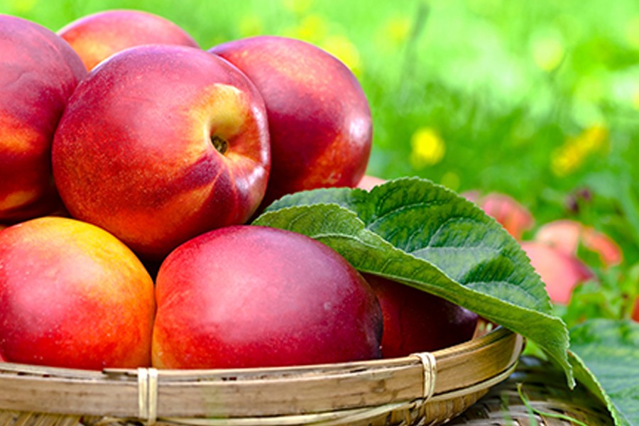 Nectarine